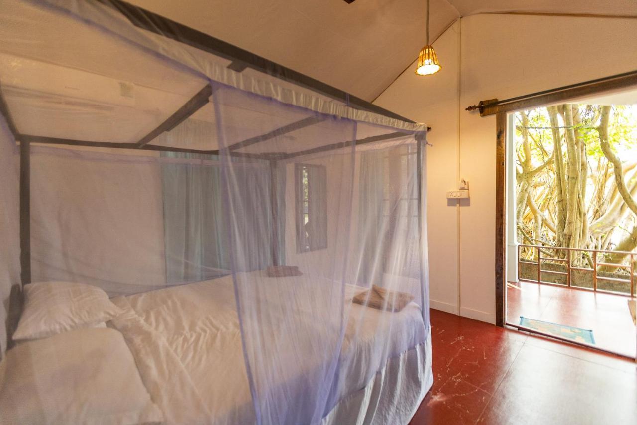 פאלולם Dreamcatcher Unique Retreat Yoga & Spa מראה חיצוני תמונה
